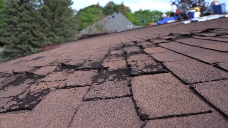 Best Emergency Roof Repair Services  in Diamond Ridge, AK